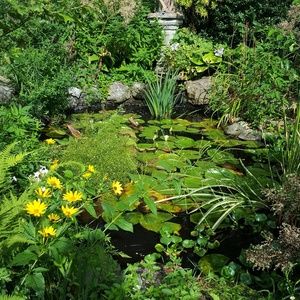 Meet your Posher, Carol